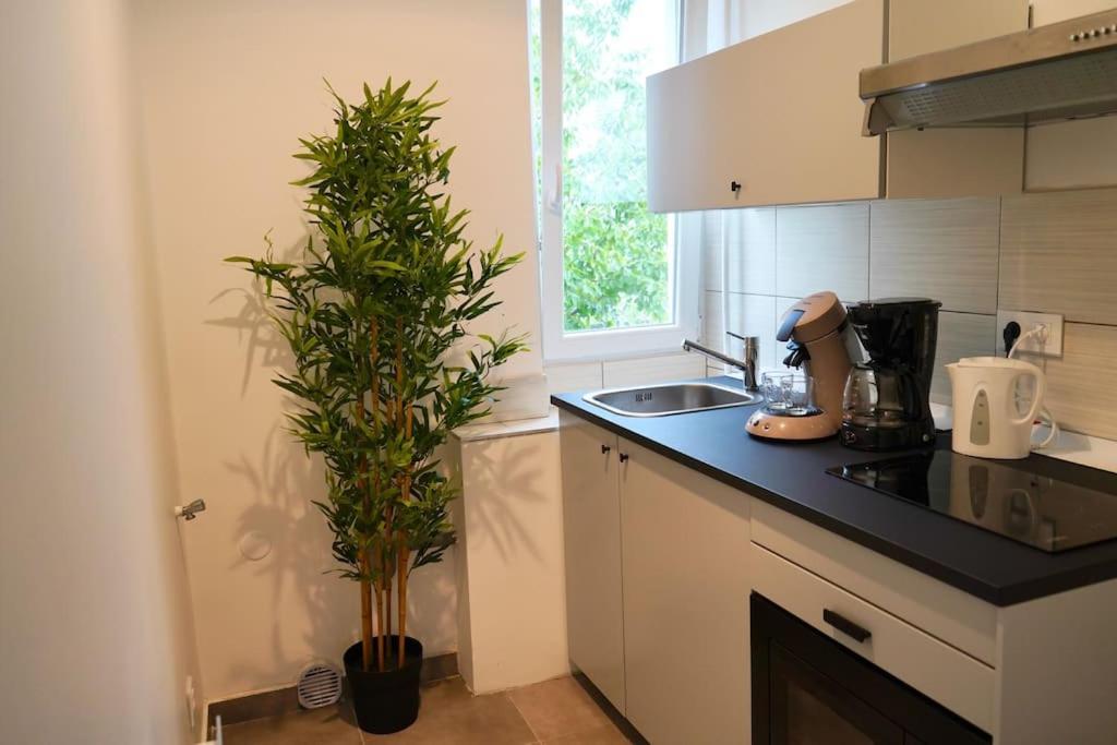 Rm-1 - Appartement F2 Au 1Er Etage Pour 1-3 Pers Mulhouse Buitenkant foto